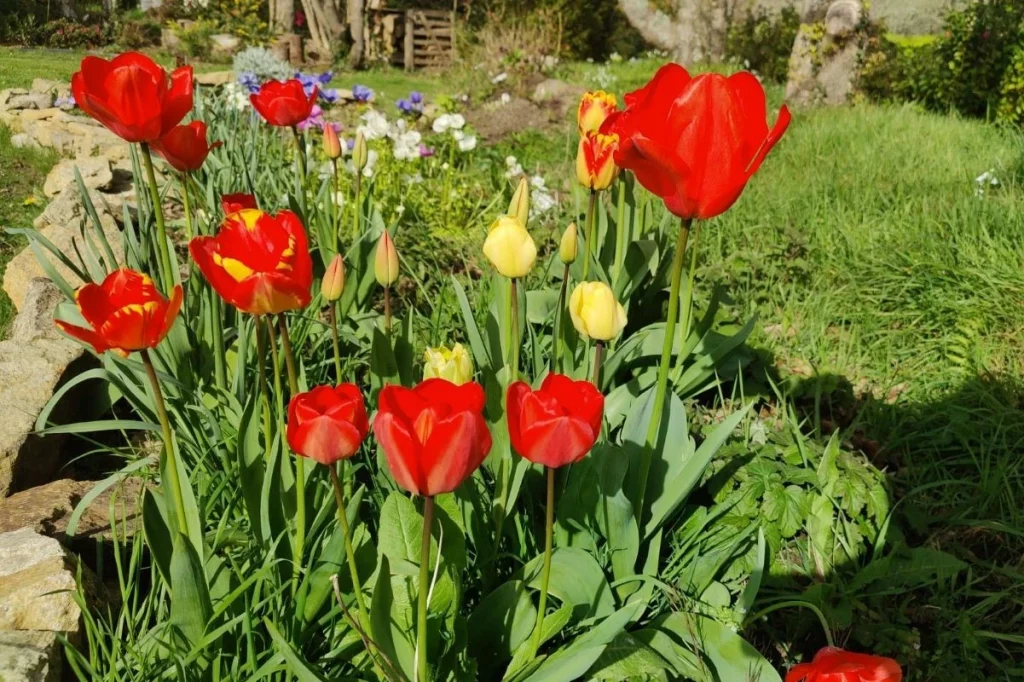 Ateliers biodiversité en ville - Samecause