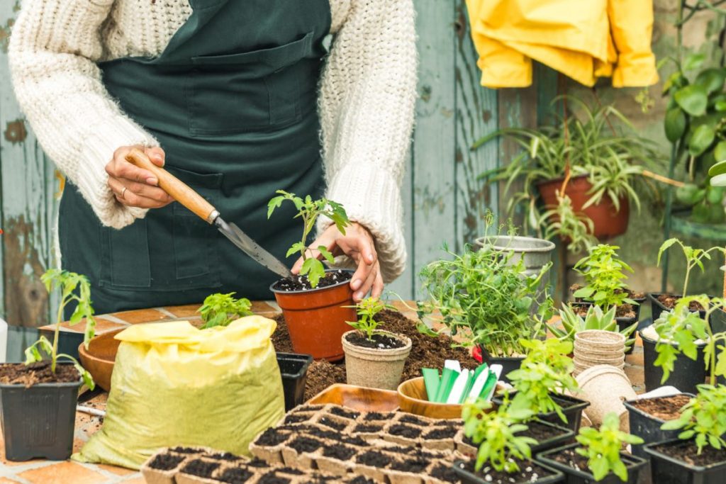 Atelier jardinage EHPAD